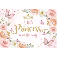 BUTTERFLY PRINCESS BABY SHOWER PERSONALISED PARTY SUPPLIES BANNER BACKDROP DECORATION