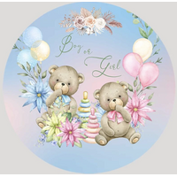 CARE BEARS BABY SHOWER BALLOONS FLOWERS PARTY SUPPLIES ROUND PERSONALISED BANNER BACKDROP DECORATION