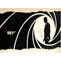 JAMES BOND 007 SKYFALL ACTION MYSTERY THRILLER PERSONALISED BIRTHDAY PARTY SUPPLIES BANNER BACKDROP DECORATION