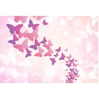 BUTTERFLIES PINK & PURPLE PERSONALISED BIRTHDAY PARTY SUPPLIES BANNER BACKDROP DECORATION
