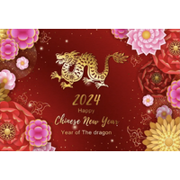CHINESE NEW YEAR DRAGON FESTIVAL PARTY SUPPLIES BANNER BACKDROP DECORATION