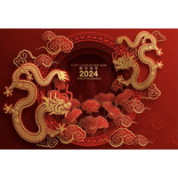 CHINESE NEW YEAR RED DRAGON FESTIVAL PARTY SUPPLIES BANNER BACKDROP DECORATION