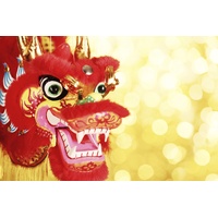 CHINESE LUNAR NEW YEAR FESTIVAL DRAGON PARTY SUPPLIES BANNER BACKDROP DECORATION