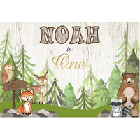 FOREST ANIMALS BEAR FOX DEAR OWL PERSONALISED FIRST BIRTHDAY PARTY SUPPLIES BANNER BACKDROP DECORATION