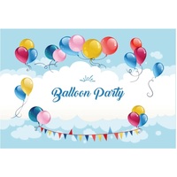 RED BLUE PINK YELLOW BALLOONS SKY CLOUDS PERSONALISED 1ST BIRTHDAY PARTY SUPPLIES BANNER BACKDROP DECORATION