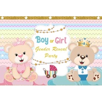 GENDER REVEAL BOY GIRL TEDDY BEAR PERSONALISED BIRTHDAY PARTY SUPPLIES BANNER BACKDROP DECORATION