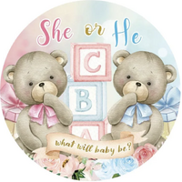 BABY SHOWER GENDER REVEAL TATTY TEDDYS TEDDYBEARS ABC'S PARTY SUPPLIES ROUND BIRTHDAY PERSONALISED BANNER BACKDROP DECORATION