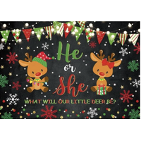 BABY SHOWER GENDER REVEAL CHRISTMAS DEER SNOW PERSONALISED BIRTHDAY PARTY SUPPLIES BANNER BACKDROP DECORATION