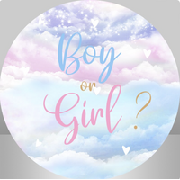GENDER REVEAL BABY SHOWER BOY GIRL SKY HEARTS PARTY SUPPLIES ROUND BIRTHDAY PERSONALISED BANNER BACKDROP DECORATION