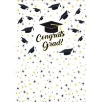 GRADUATION CLASS OF UNIVERSITY WHITE PERSONALISED PARTY SUPPLIES BANNER BACKDROP DECORATION