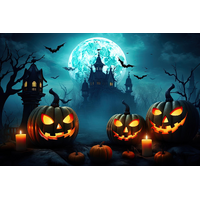 HALLOWEEN HAUNTED HOUSE JACK-O-LANTERNS BATS PERSONALISED BIRTHDAY PARTY SUPPLIES BANNER BACKDROP DECORATION