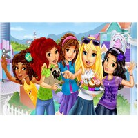 LEGO FRIENDS GIRL BLOCKS PERSONALISED BIRTHDAY PARTY SUPPLIES BANNER BACKDROP DECORATION