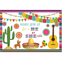 MEXICAN CACTUS FIESTA SPANISH PERSONALISED BIRTHDAY PARTY BANNER BACKDROP BACKGROUND