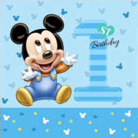 MICKEY MOUSE FIRST 1ST BIRTHDAY PARTY SUPPLIES PERSONALISED BANNER BACKDROP DECORATION