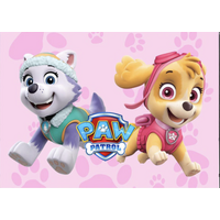PAW PATROL EVEREST SKYE PUPPIES HERO DOG PERSONALISED BIRTHDAY PARTY SUPPLIES BANNER BACKDROP DECORATION