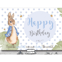PETER RABBIT POCKA DOT PERSONALISED BIRTHDAY PARTY BANNER BACKDROP BACKGROUND