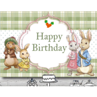 PETER RABBIT GREEN PERSONALISED BAPTISM BIRTHDAY PARTY SUPPLIES BANNER BACKDROP DECORATION