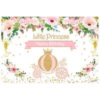 GIRL BIRTHDAY PRINCESS CARRIAGE ERSONALISED PARTY BANNER BACKDROP BACKGROUND