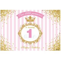 FIRST 1ST GIRL BIRTHDAY PRINCESS PINK PERSONALISED PARTY SUPPLIES BANNER BACKDROP DECORATION