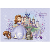 SOFIA THE FIRST CASTLE BUNNY SQUIRREL PERSONALISED BIRTHDAY PARTY SUPPLIES BANNER BACKDROP DECORATION