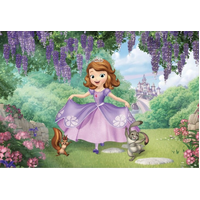 SOFIA THE FIRST PRINCESS CASTLE FOREST FLOWERS PERSONALISED BIRTHDAY PARTY SUPPLIES BANNER BACKDROP DECORATION
