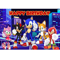 SONIC THE HEDGEHOG PERSONALISED BIRTHDAY PARTY SUPPLIES BANNER BACKDROP DECORATION