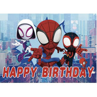 MARVEL SPIDERMAN INTO THE SPIDER-VERSE PERSONALISED BIRTHDAY PARTY SUPPLIES BANNER BACKDROP DECORATION