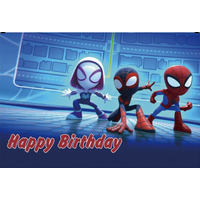 MARVEL SPIDERMAN SPIDER-VERSE PETER MILES GWEN PERSONALISED BIRTHDAY PARTY SUPPLIES BANNER BACKDROP DECORATION