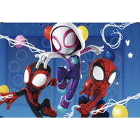 SPIDERMAN GWEN MILES PETER WEB-SLINGER PERSONALISED BIRTHDAY PARTY SUPPLIES BANNER BACKDROP DECORATION