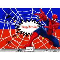 SPIDERMAN WEB SPIDER PERSONALISED BIRTHDAY PARTY BANNER BACKDROP