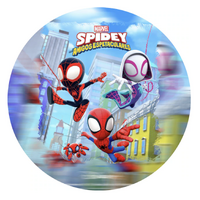 SPIDERMAN INTO THE SPIDER-VERSE MILES MORALES GWEN PETER PARTY SUPPLIES ROUND BIRTHDAY PERSONALISED BANNER BACKDROP DECORATION