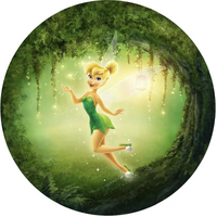 DISNEY TINKERBELL FAIRY PETER PAN FOREST LANTERN MAGIC PARTY SUPPLIES ROUND BIRTHDAY PERSONALISED BANNER BACKDROP DECORATION