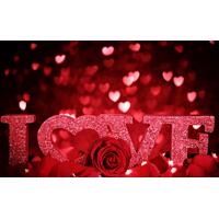 HAPPY VALENTINE'S DAY LOVE ROSES HEARTS PERSONALISED BIRTHDAY PARTY SUPPLIES BANNER BACKDROP DECORATION
