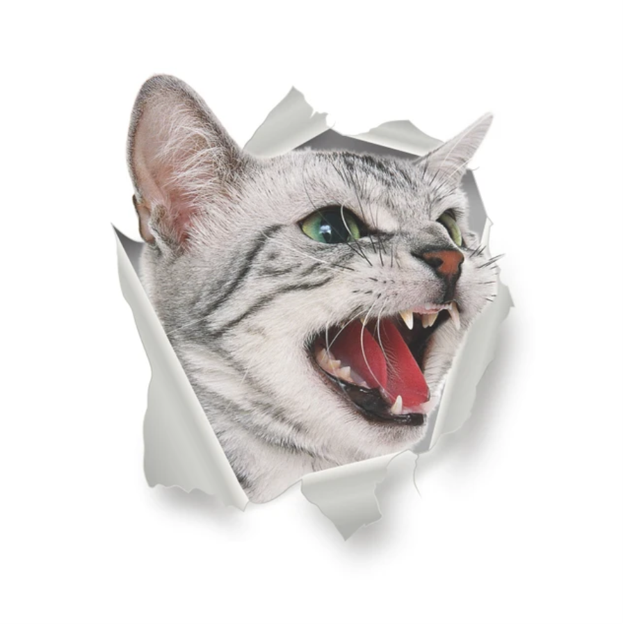 ANGRY CAT ROAR KITTY ANIMALS WALL BREAK 3D WALL STICKER MURAL ART Decal